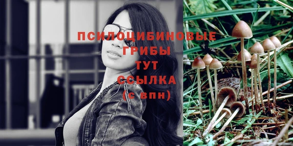 хмурый Абинск
