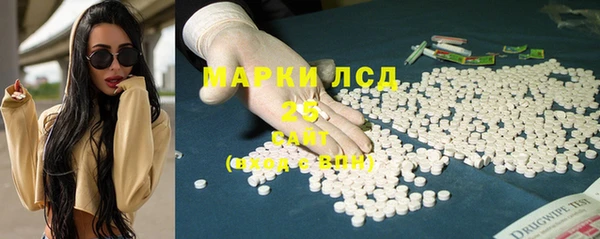 крисы Абаза