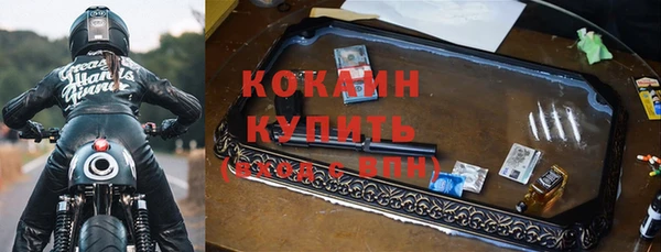 крисы Абаза