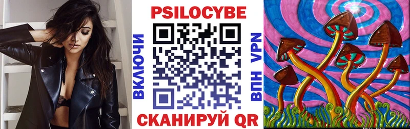 сколько стоит  KRAKEN tor  Галлюциногенные грибы мицелий  Александров 